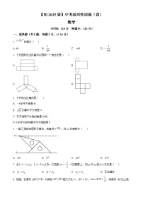 陕西省西安市铁一中学、陆港中学2025届中考四模 数学试卷