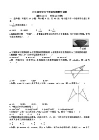 2025年济南市中区九年级中考数学一模考试试题（含答案）
