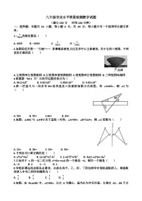 2025年济南市中区九年级中考数学一模考试试题（含答案）