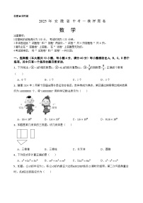 2025年中考数学一模押题卷（安徽省专用）—2025年全国各地市最新中考数学模拟考试（含答案+解析）