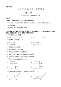 2025年中考数学一模押题卷（河北专用）—2025年全国各地市最新中考数学模拟考试（含答案+解析）