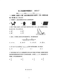 2025北京北师大实验中学初三零模[中考模拟]数学试卷