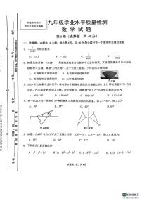 2025年山东济南市中区九年级中考一模数学试题（含答案）