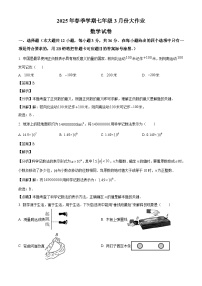 广西南宁市新阳西路学校2024-2025学年七年级下学期3月月考 数学试题（含解析）