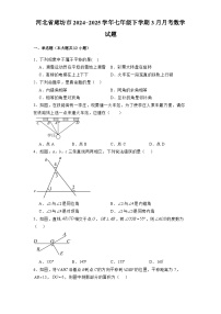 河北省廊坊市2024-2025学年七年级下学期3月月考 数学试题（含解析）