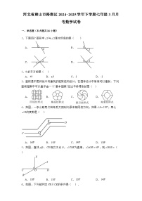 河北省唐山市路南区2024-2025学年下学期七年级3月月考 数学试卷（含解析）