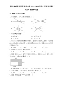 四川省成都市石室天府中学2024-2025学年七年级下学期3月月考 数学试题（含解析）