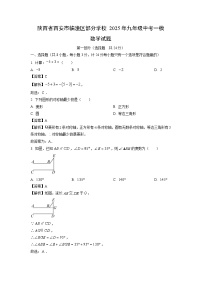 陕西省西安市临潼区部分学校2025年九年级中考一模数学试卷（解析版）