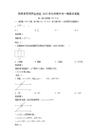 陕西省宝鸡市金台区2025年九年级中考一模数学试卷（解析版）