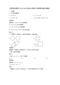 江苏省盐城市2023-2024学年七年级下学期期中1数学试卷（解析版）
