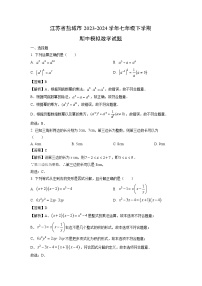 江苏省盐城市2023-2024学年七年级下学期期中模拟数学试卷（解析版）