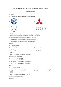 江苏省泰州市兴化市2023-2024学年七年级下学期期中数学试卷（解析版）