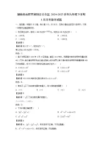 湖南省岳阳市湘阴县长仑区2024-2025学年九年级下学期3月月考数学试卷（解析版）