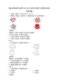 湖北省黄石市大冶市2024-2025学年九年级下学期开学考试数学试卷（解析版）
