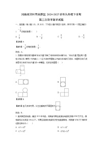 河南省郑州市高新区2024-2025学年九年级下学期第二次联考月考数学试卷（解析版）