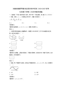 河南省南阳市唐河县部分初中联考2024-2025学年九年级下学期3月月考数学试卷（解析版）