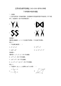 江苏省盐城市盐都区2023-2024学年七年级下学期期中数学试卷（解析版）