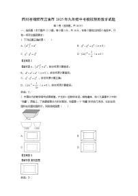 四川省绵阳市江油市2025年九年级中考模拟预测数学试卷（解析版）