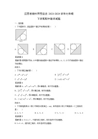 江苏省扬州市宝应县2023-2024学年七年级下学期期中数学试卷（解析版）