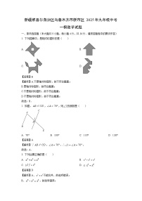 新疆维吾尔自治区乌鲁木齐市新市区2025年九年级中考一模数学试卷（解析版）
