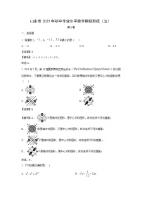 山东省2025年初中学业水平模拟测试（五）数学试卷（解析版）