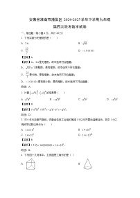 安徽省淮南市潘集区2024-2025学年下学期九年级第四次联考月考数学试卷（解析版）