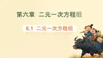 数学华东师大版（2024）二元一次方程组和它的解优质ppt课件