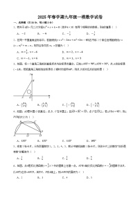 2025年甘肃省武威市凉州区柏树片中考一模数学试题