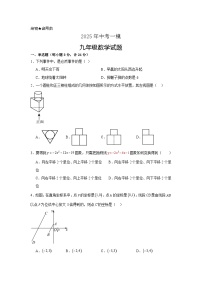 2025年江苏省连云港市灌云县中考一模数学试题