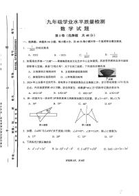 2025年山东省济南市中区九年级中考一模数学试题（含答案）