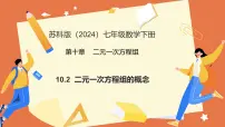苏科版（2024）二元一次方程组的概念教学ppt课件