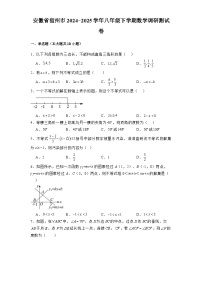 安徽省宿州市2024-2025学年八年级下学期 数学调研测试卷（含解析）