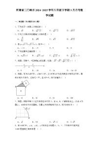 河南省三门峡市2024-2025学年八年级下学期3月月考 数学试题（含解析）