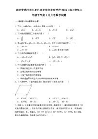 湖北省武汉市江夏区湖北华宜寄宿学校2024-2025学年八年级下学期3月月考 数学试题（含解析）