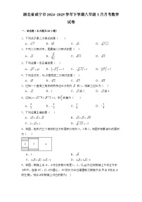 湖北省咸宁市2024-2025学年下学期八年级3月月考 数学试卷（含解析）