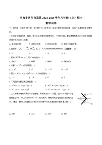 河南省洛阳市嵩县2024-2025学年八年级上学期期末考试数学试卷(含答案)