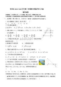 河南省南阳市邓州市2025届九年级上学期期中质量评估数学试卷(含答案)