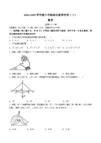 河南省南阳市多校2024-2025学年八年级上学期第三次月考数学试卷(含答案)