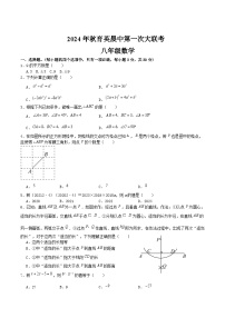 河南省南阳市桐柏县晨中、育英两校联考2024-2025学年八年级上学期12月月考数学试卷(含答案)
