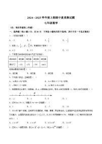 河南省驻马店市确山县2024-2025学年七年级上学期11月期中考试数学试卷(含解析)