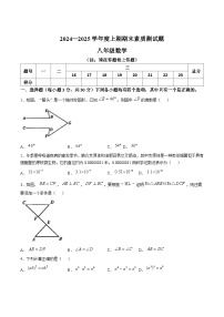 河南省驻马店市汝南县2024-2025学年八年级上学期1月期末考试数学试卷(含答案)