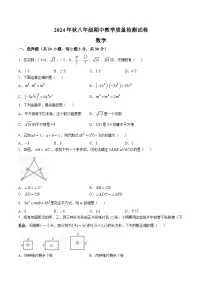 河南省驻马店市上蔡县2024-2025学年八年级上学期11月期中教学质量检测数学试卷(含答案)