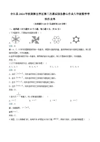 四川省泸州市合江县第五片区2024-2025学年八年级上学期第二次联考数学试卷(含解析)