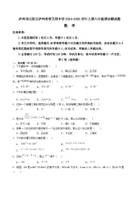 四川省泸州市泸州老窖天府中学2024-2025学年八年级上学期1月期末考试数学试卷(含答案)