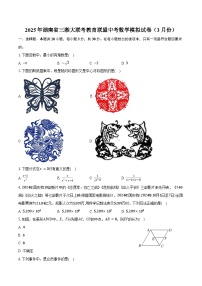 2025年湖南省三湘大联考教育联盟中考数学模拟试卷（3月份）（含答案）