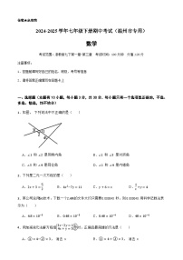 2024-2025学年七年级下学期数学期中测试（浙江温州市专用）（含答案）