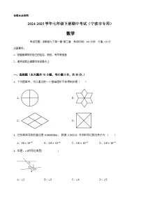 2024-2025学年七年级下学期数学期中测试（浙江宁波市专用）（含答案）
