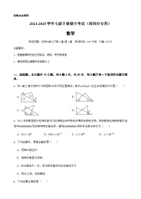 2024-2025学年七年级下学期数学期中测试（广东省深圳市专用）（含答案）