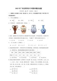 2025年广东深圳罗湖区部分学校中考数学二模试卷（含答案）