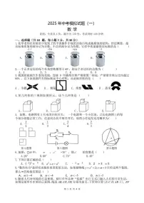 2025年广东省湛江市中考一模数学试卷（含答案）